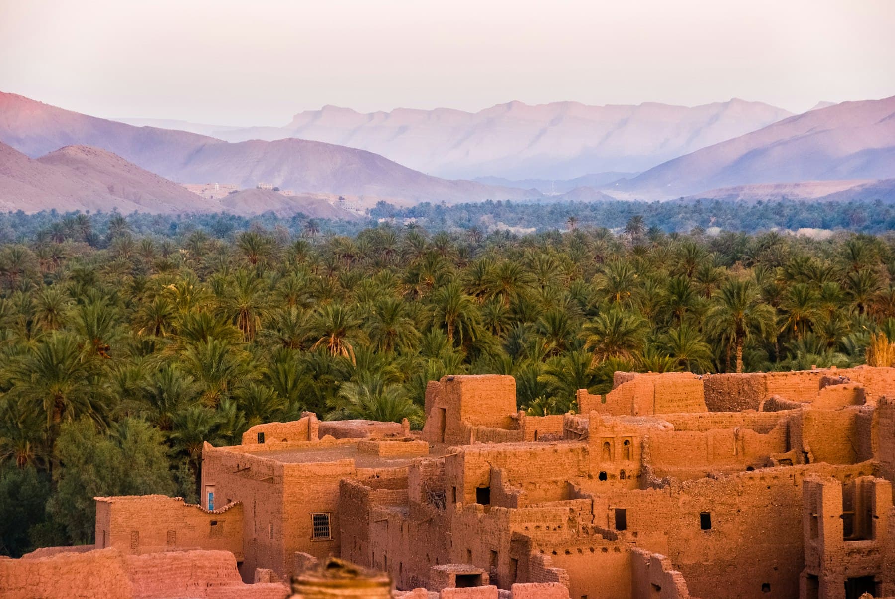 Palmeraie et kasbah en terre au pied des montagnes